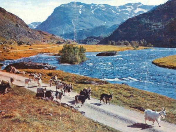 Røldal Suldal Kraft – selskapsfinte mot&nbsp;heimfallsrett