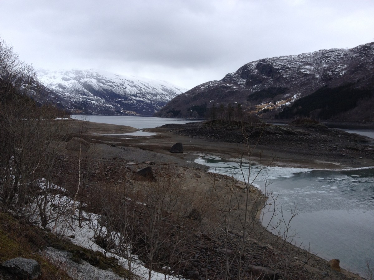 Lyse forvaltar kraftressursen til sitt eige beste, noko anna kan me ikkje&nbsp;forventa