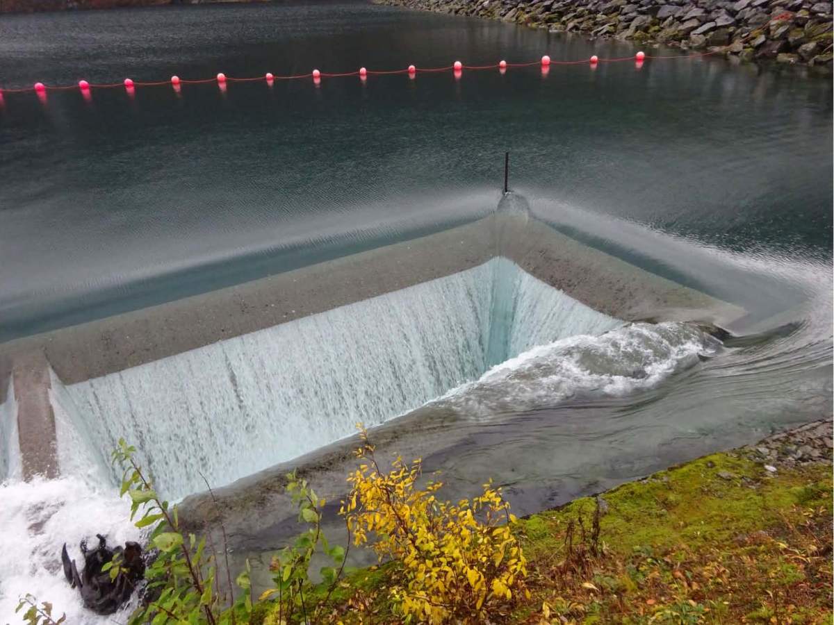 Innspel – Dok8 (Sondof&nbsp;Rabbe)