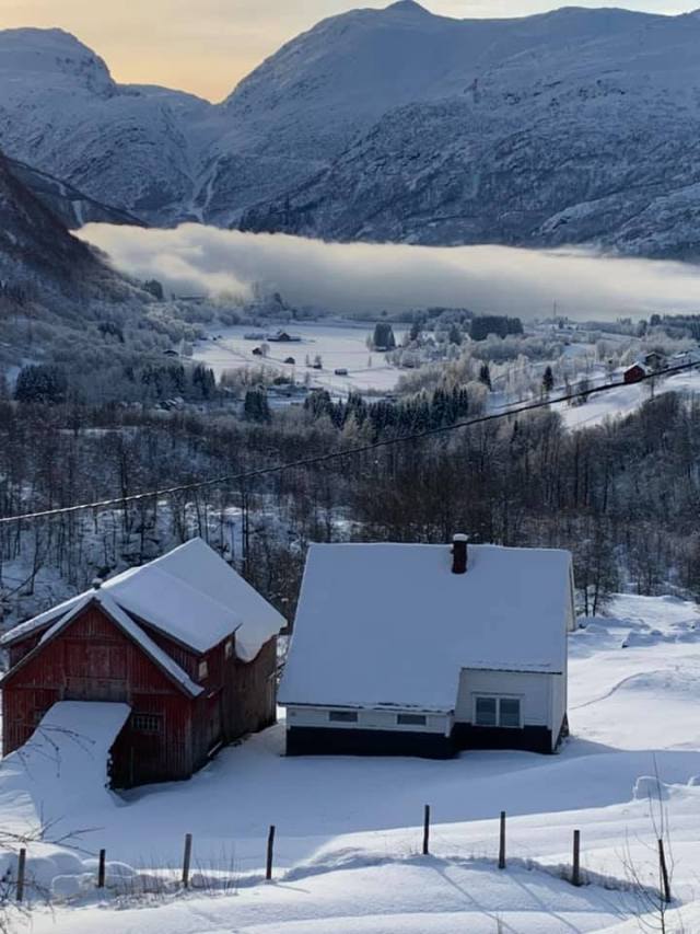 Frostrøyk 25. januar 2021 - Foto: Wenche Tindeland