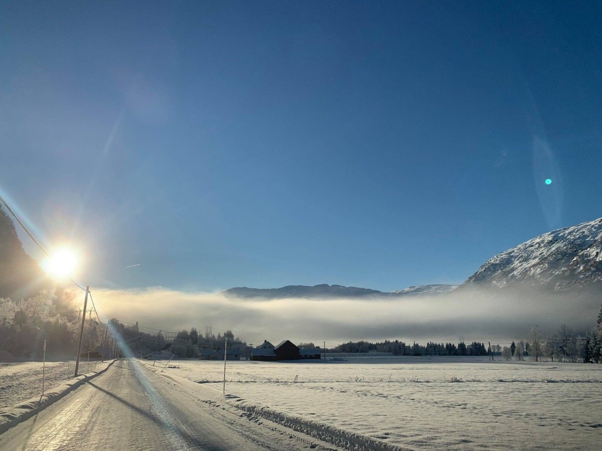 Frostrøyken er på ny blitt ei&nbsp;plage